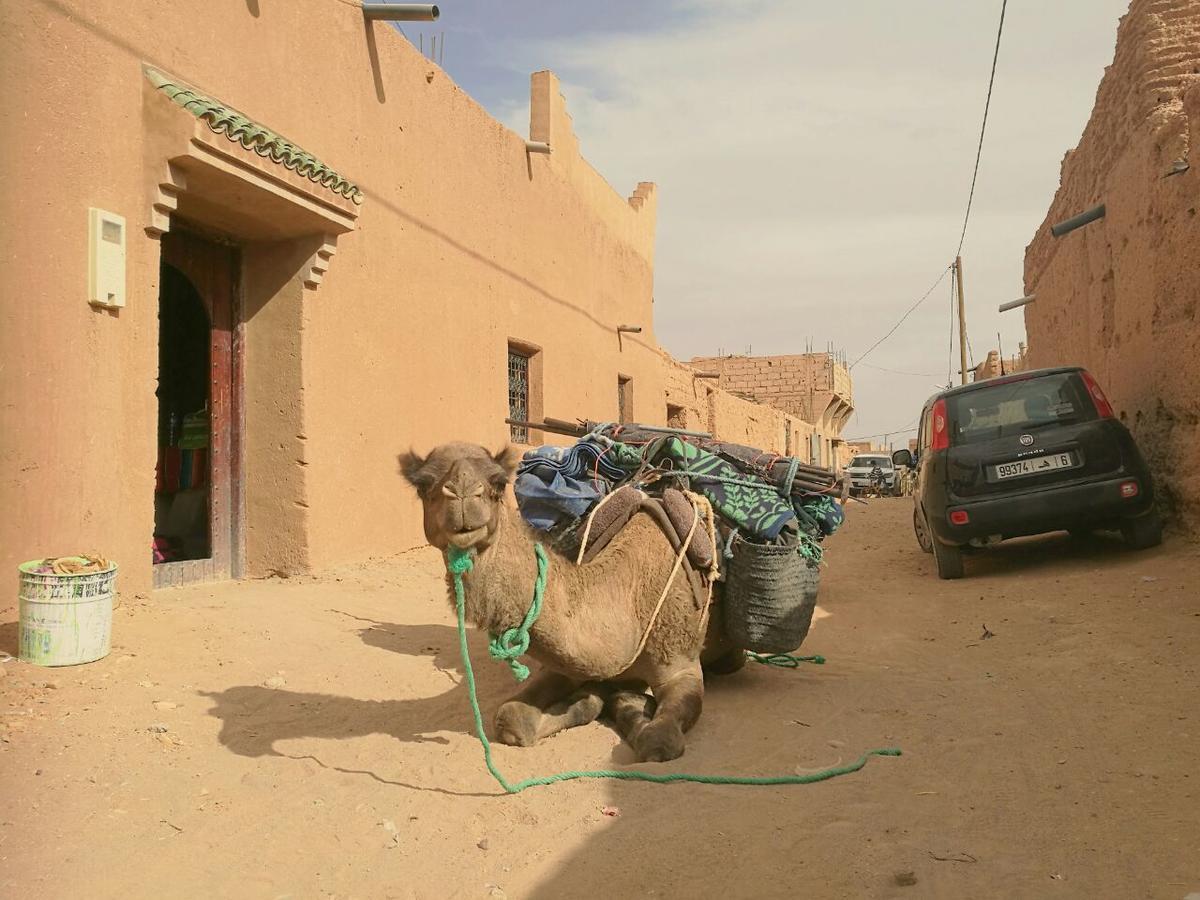 Authentic Riad & Activities Erg 모하미드 외부 사진